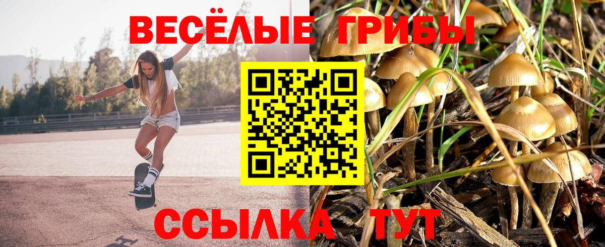 Галлюциногенные грибы Cubensis  Вход с VPN  где купить наркотик  Нижневартовск 